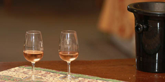 Oentourisme et Dégustation de vins à Béziers (® SAAM-fabrice CHORT)
