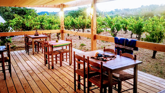 Ranch El Paso Murviel les Béziers: Journée Amérique le samedi 6 septembre