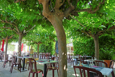 L’auberge des ripailleurs à Bessan propose une belle terrasse ombragée (® SAAM-fabrice CHORT)