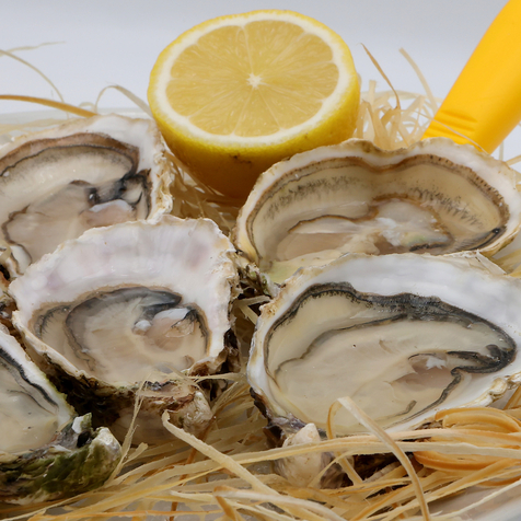 Huitres de Bouzigues  chez la poissonnerie L'Odacieuse à Valras Plage