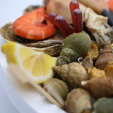Plateau de fruit de mer à emporter chez L'Odacieuse Valras Plage