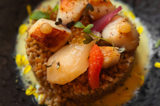 L'Orangerie Béziers • restaurant fait maison , type bistronomique (® facebook l'orangerie)